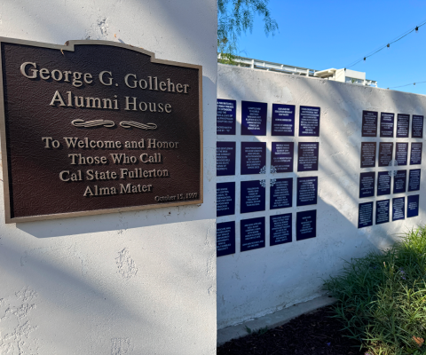 Tiles on the walls of the Golleher House 