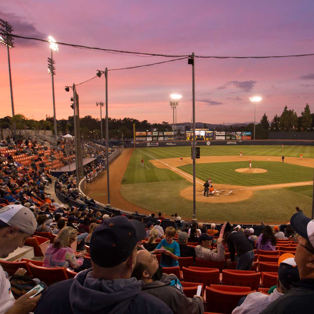 Goodwin Field