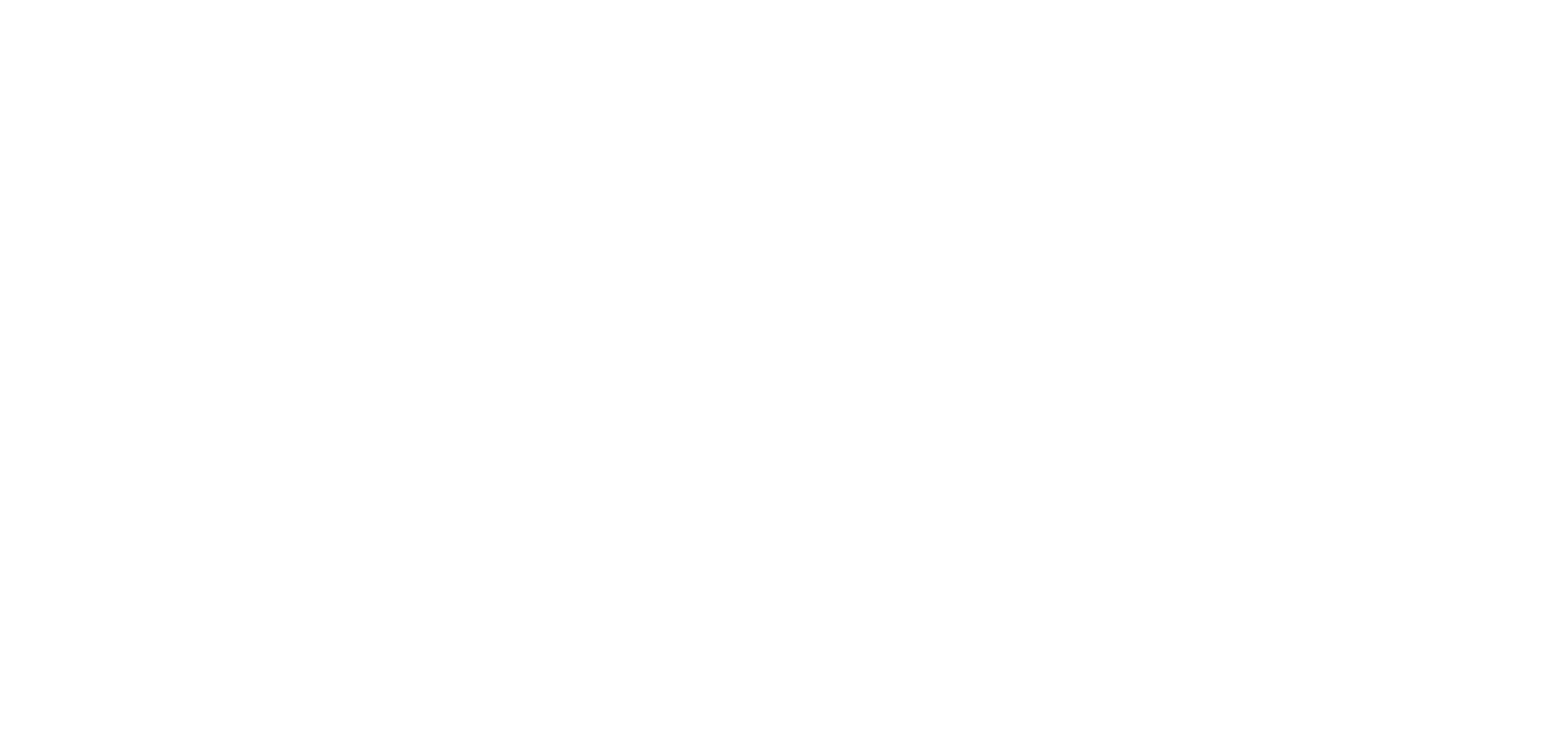 Vision & Visionary 2026